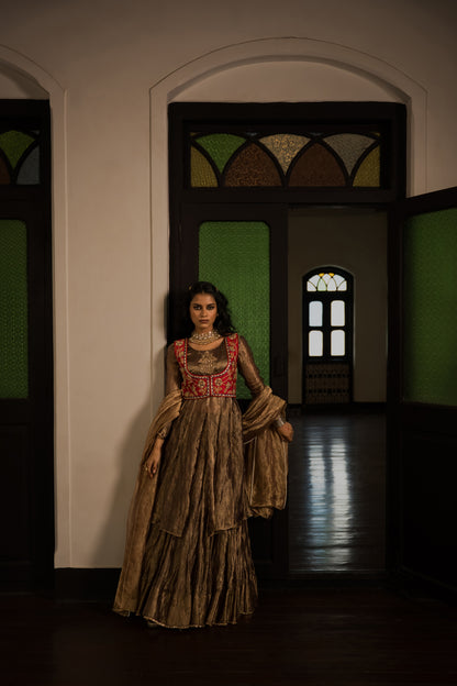 Brown Purple Tissue Lehanga Choli