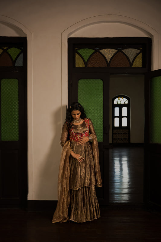 Brown Purple Tissue Lehanga Choli