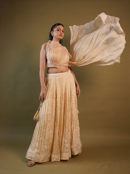 Cream Organza Crop top and Lehenga Indo Western